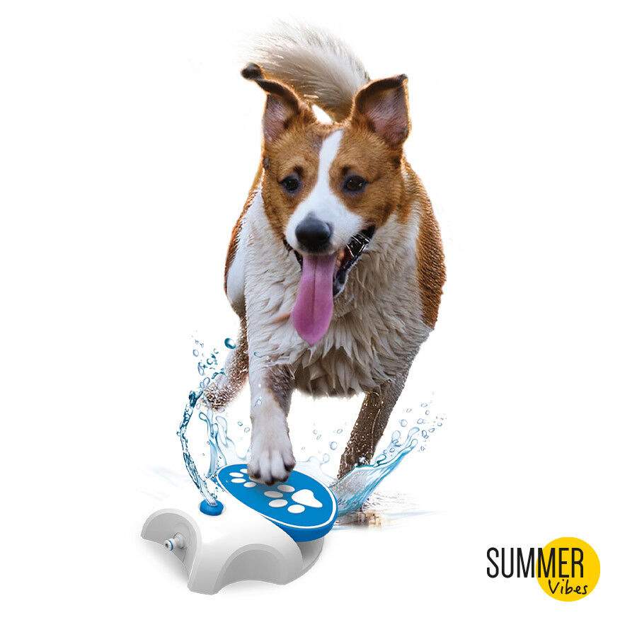 Summer Vibes Pedal de agua interactivo para perros, , large Imagen numero 2