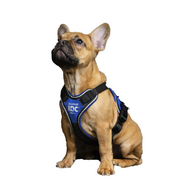JULIUS - K9 Arn&eacute;s Julius K9 Longwalk Azul, , large Imagen numero 3