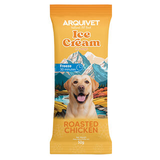 Pack 24 unidades - Ice Cream / Helado de Pollo Asado – 50g