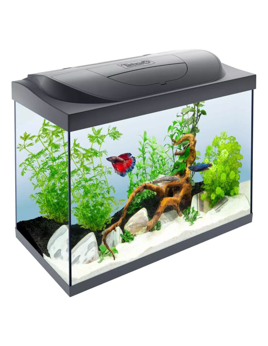 Kit Tetra Starter Line LED Diurna/Nocturna Acuario 105L, , large Imagen numero 6