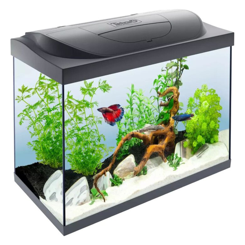 Kit Tetra Starter Line LED Diurna/Nocturna Acuario 80L, , large image number null