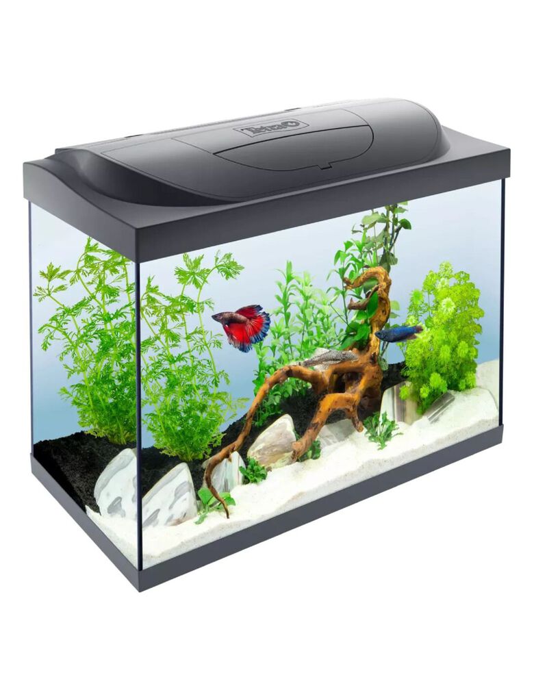Tetra Kit acuario Starter Line LED Diurna Nocturna thumbnail