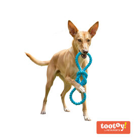 Tootoy! Mordedor Rubber Seaknot de Goma Azul para perros