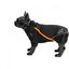 Abrigo para perros e-CAN Dawn Dasher Z7 color negro, , large indicador imagen numero 1