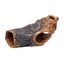 Plecoceramics tronco de árbol, , large indicador imagen numero 5