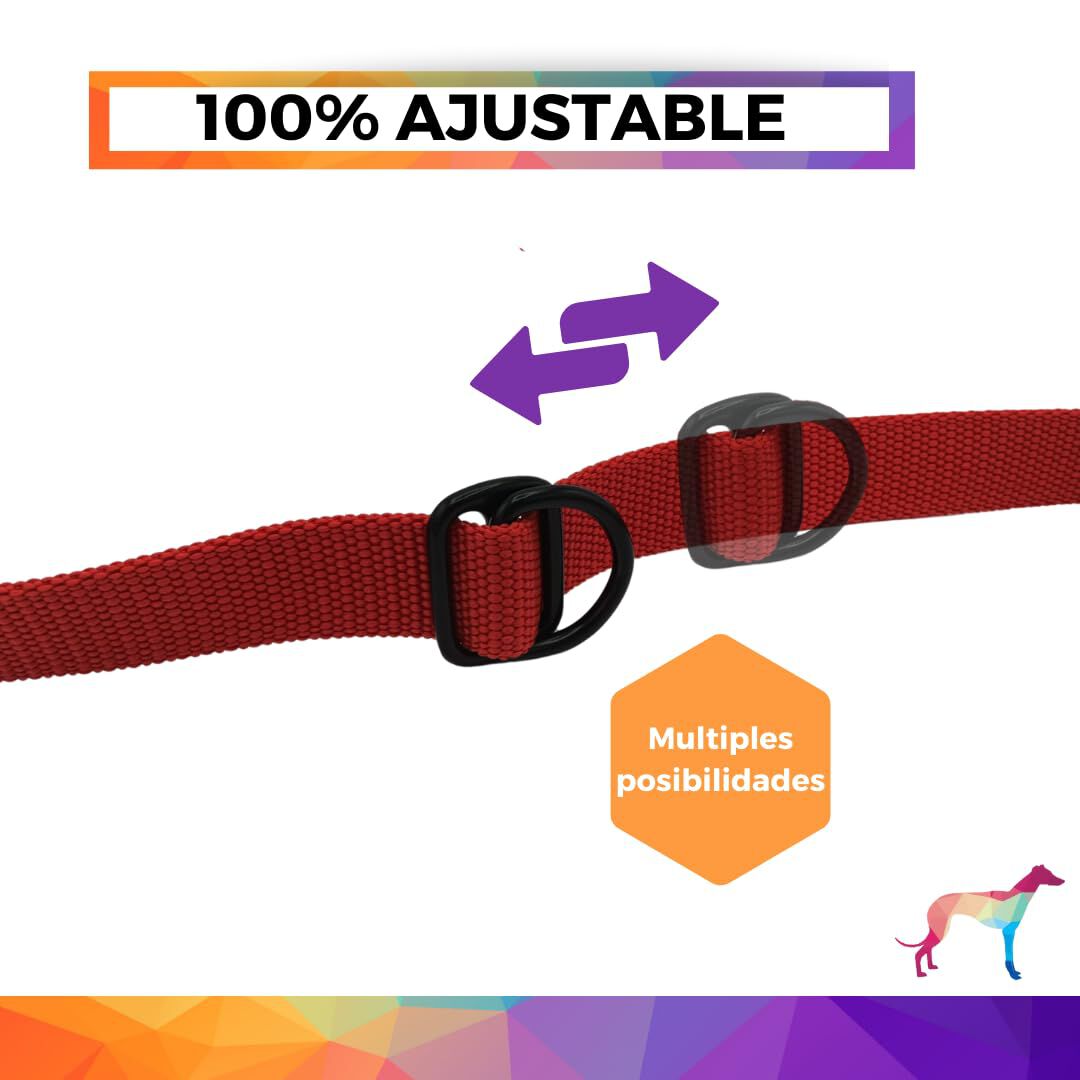 EGV - Correa multiposicion perro con doble asa de neopreno. Correa perro manos libres de 2,50 metros de longitud. (Rojo), , large Imagen numero 3