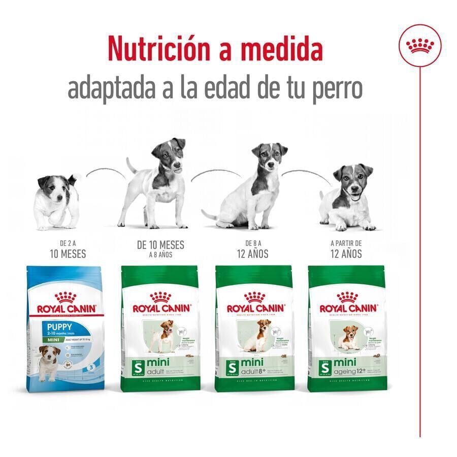 Royal Canin Mini Ageing +12 pienso para perros thumbnail