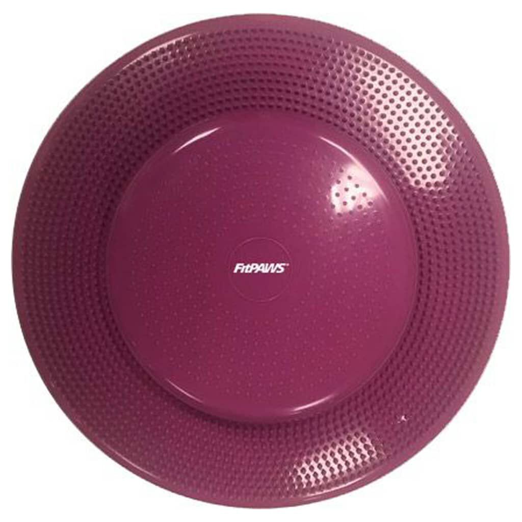 FitPAWS Disco de equilibrio para mascotas color frutos rojos 56 cm, , large Imagen numero 1