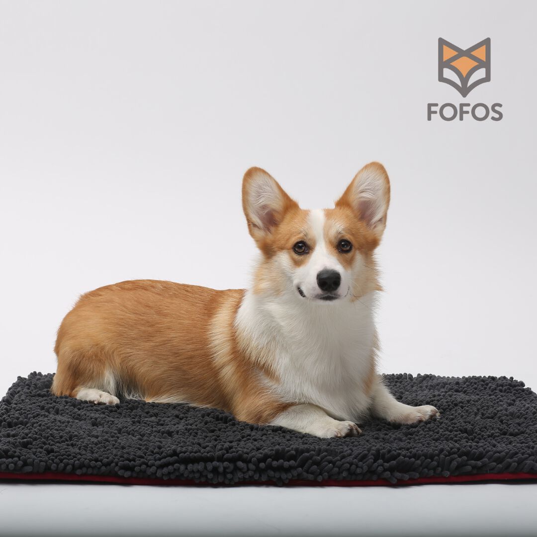 FOFOS | Alfombrilla Viscoel&aacute;stica con Forro de Chenille (Gris Oscuro) M - Para Perro, , large Imagen numero 5
