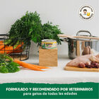 Wild Balance BARF Pollo y Vegetales lata para gatos, , large image number null