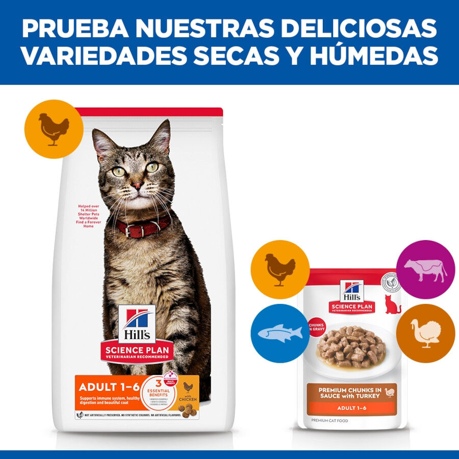 85 g Hill's Science Plan Adult Pavo sobre para gatos, , large Imagen numero 6