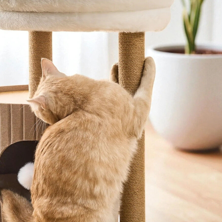 Althea Living - &Aacute;rbol para Gatos Horizonte, 3 alturas, madera y sisal, , large Imagen numero 5