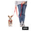 Gotoo Arnés reflectante de neopreno rojo para perros, , large indicador imagen numero 5