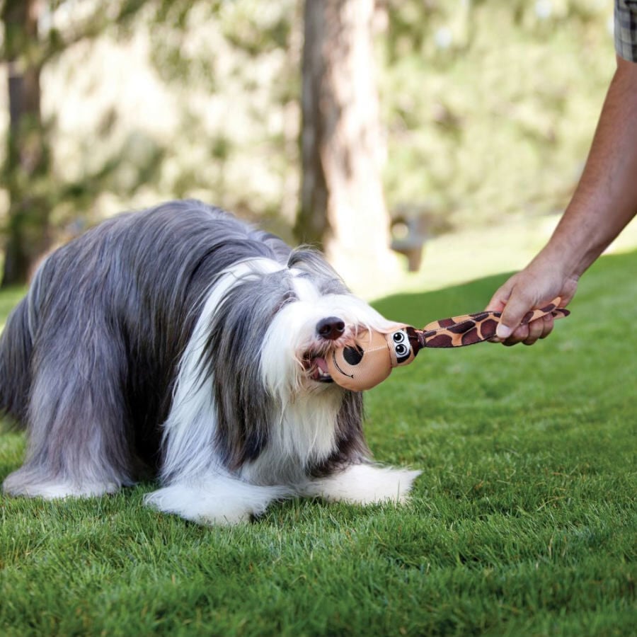 Kong Wubba Floppy Ear juguete para perros thumbnail