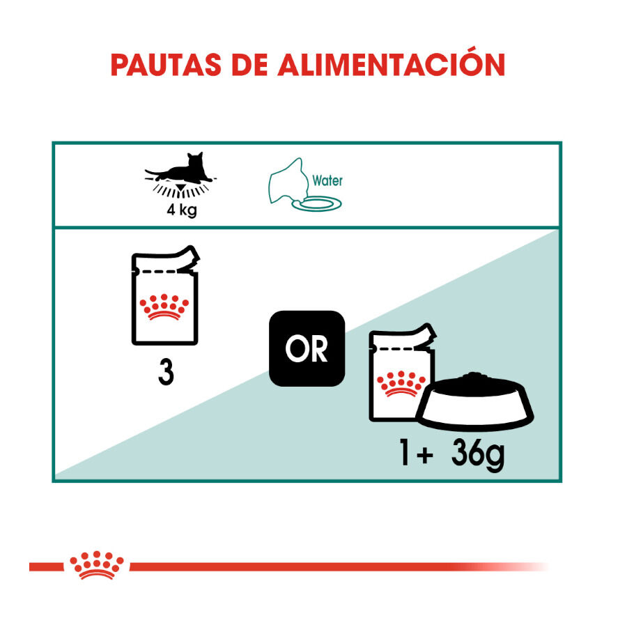 Royal Canin Senior 7+ Instinctive sobres para gatos thumbnail