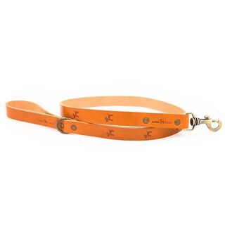 Ladran Gaucho Correa de cuero premium clasic para perros color marrón