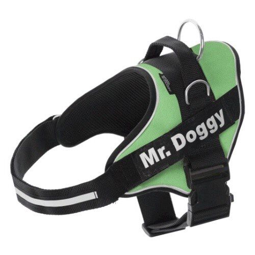 Arn&eacute;s personalizado Super Doggy para perros color Verde, , large Imagen numero 1