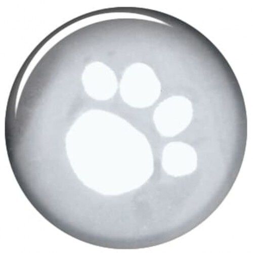 Impermeable Tarbes para perros color Transparente, , large Imagen numero 3