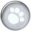 Impermeable Tarbes para perros color Transparente, , large indicador imagen numero 3