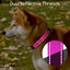 Nobleza - 2× Collar Perro, Collar Nylon Reflectante Suave Acolchado para Perros, Ajustable Collar Perro Grande con Cerradura de Seguridad, Collares de Entrenamiento para Perros (L, Rosa), , large indicador imagen numero 4