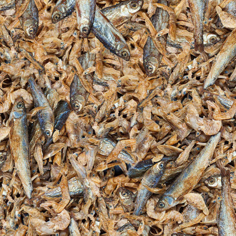 Sera Raffil Royal Nature alimento para reptiles thumbnail