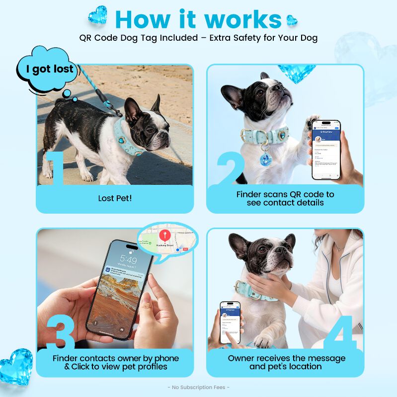 PawView Collar para Perro de Cuero Turquesa Claro con Cristales de Coraz&oacute;n y Placa de Identificaci&oacute;n QR Inteligente - Elegante, Seguro y Ajustable, , large Imagen numero 5