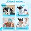 PawView Collar para Perro de Cuero Turquesa Claro con Cristales de Coraz&oacute;n y Placa de Identificaci&oacute;n QR Inteligente - Elegante, Seguro y Ajustable, , large indicador imagen numero 5