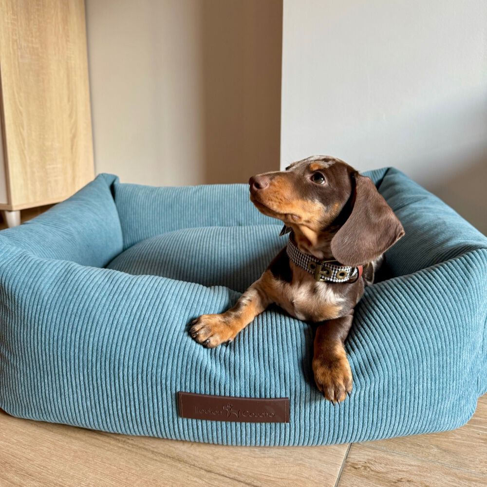 CAMA DE PANA NUBE - PEQUE&Ntilde;A, , large Imagen numero 3