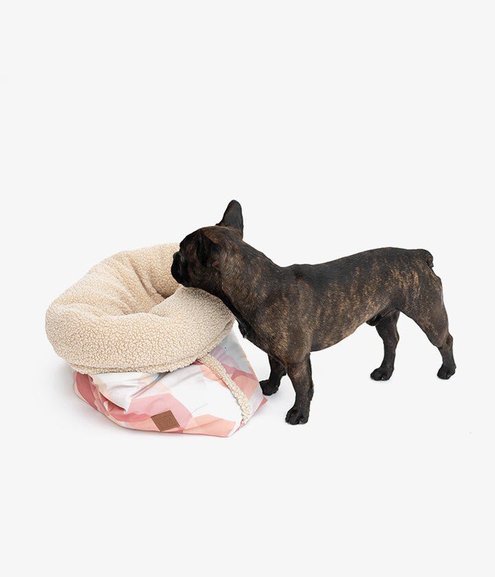 Pet and Co Bolsa De Cama De Lona (Piel De Oso) Snuggle - Perros, , large Imagen numero 3