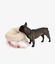 Pet and Co Bolsa De Cama De Lona (Piel De Oso) Snuggle - Perros, , large indicador imagen numero 3
