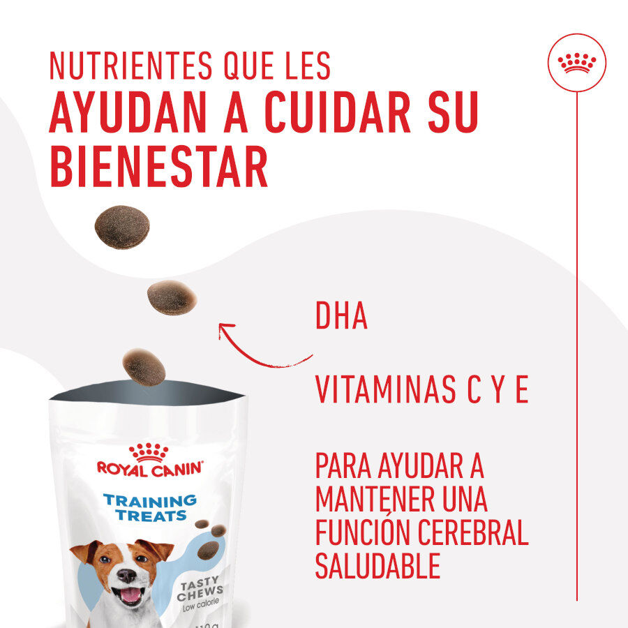Royal Canin Training Treats Snacks para perros thumbnail