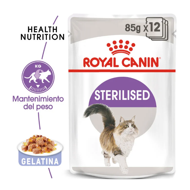 Royal Canin Sterilised comida húmeda en gelatina para gatos