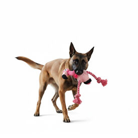 All For Paws Ultrasonic Juguete DJ Flamingo para perros