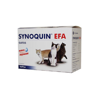 Vetplus Synoquin EFA Condroprotector para gatos