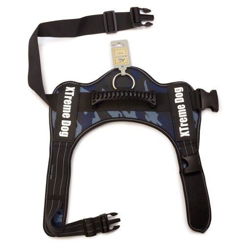 Arn&eacute;s Xtreme para perros color Azul, , large Imagen numero 2