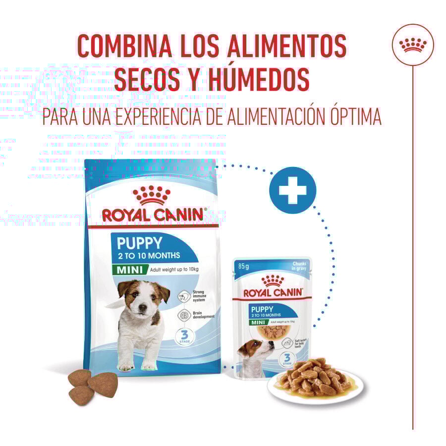 Royal Canin Mini Puppy pienso para perros thumbnail