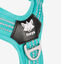 Arnés Foxys Antitirones con hebillas aluminio reforzadas color Aqua, , large indicador imagen numero 5