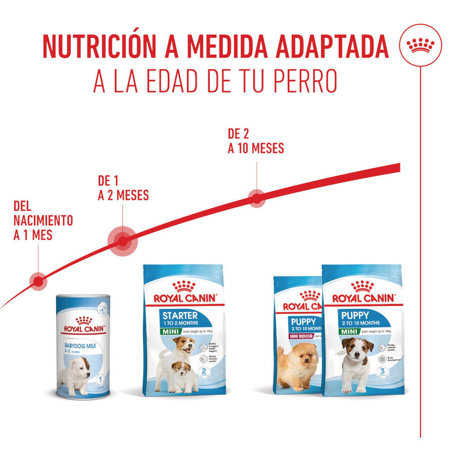 Royal Canin Starter MotheryBaby Mini pienso para perros thumbnail