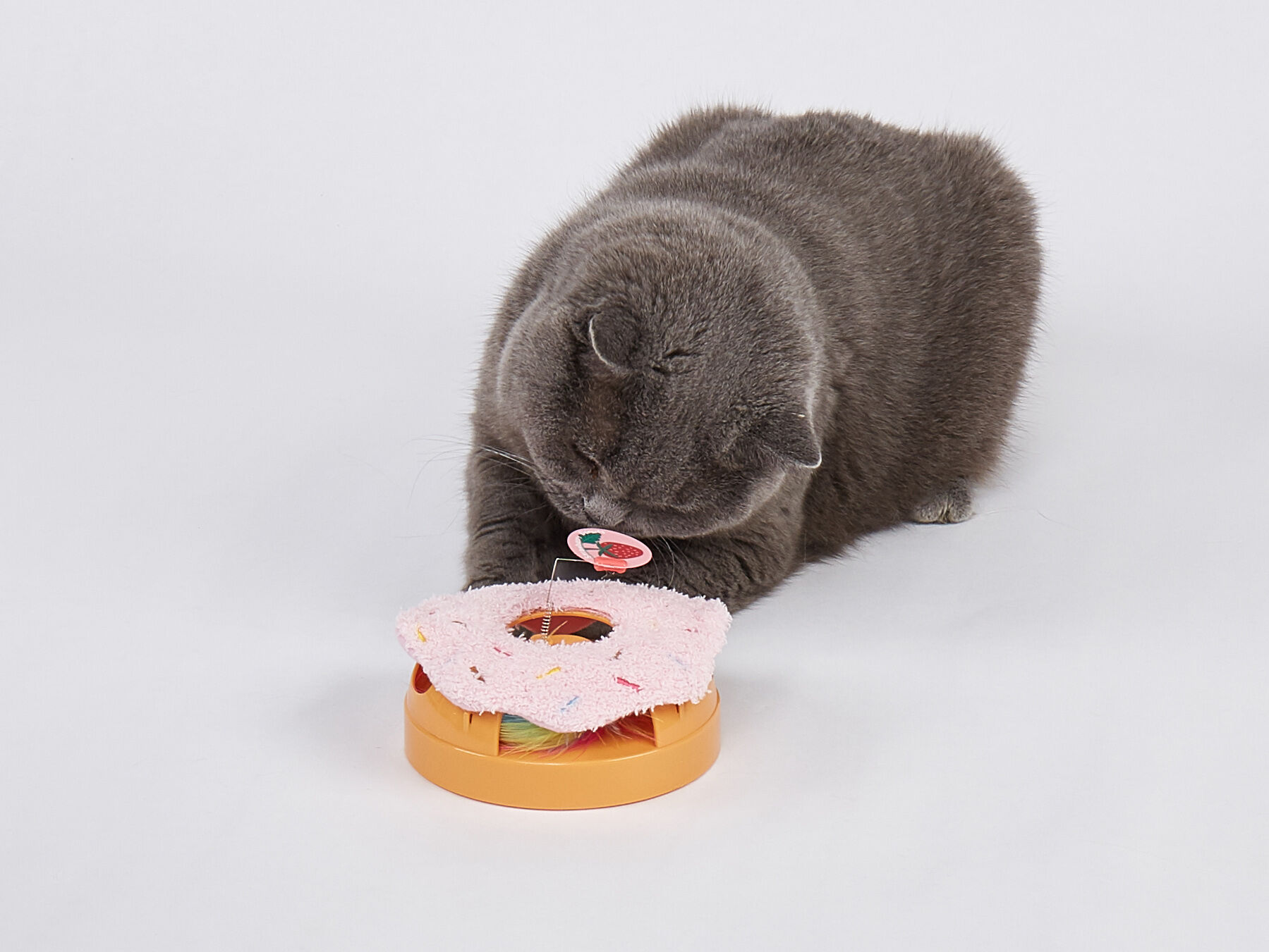 FOFOS Juguete Interactivo para Gato &ndash; Donut, , large Imagen numero 2