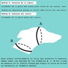 Collar Martingale Puntos para perros color Variado, , large image number null