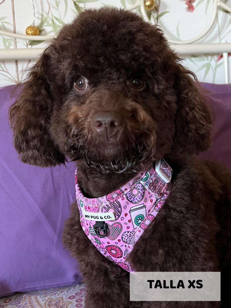 Arn&eacute;s Ajustable Dogpuccino, , large Imagen numero 4