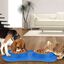 Cuenco de mascotas en acero inoxidable. Comedero para perros y gatos con bandeja de silicona antideslizante, , large indicador imagen numero 3