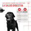 160 g Royal Canin Digestion Chews Suplemento Nutricional para perros con sensibilidad, , large indicador imagen numero 5