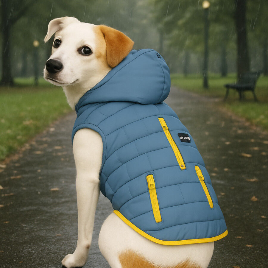Outech Abrigo Impermeable Gris para perros, , large Imagen numero 3