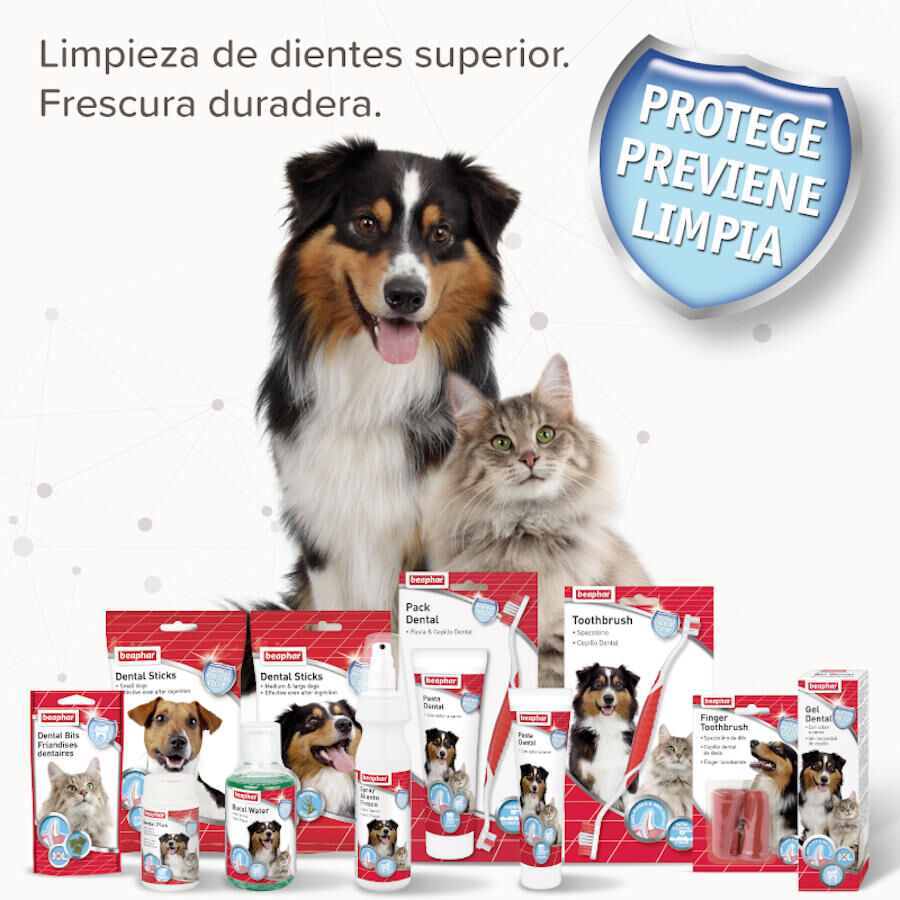 Beaphar Polvo Dental Plus para perros y gatos, , large Imagen numero 5