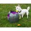 Lanzador de pelotas automático para perros color Gris, , large indicador imagen numero 2
