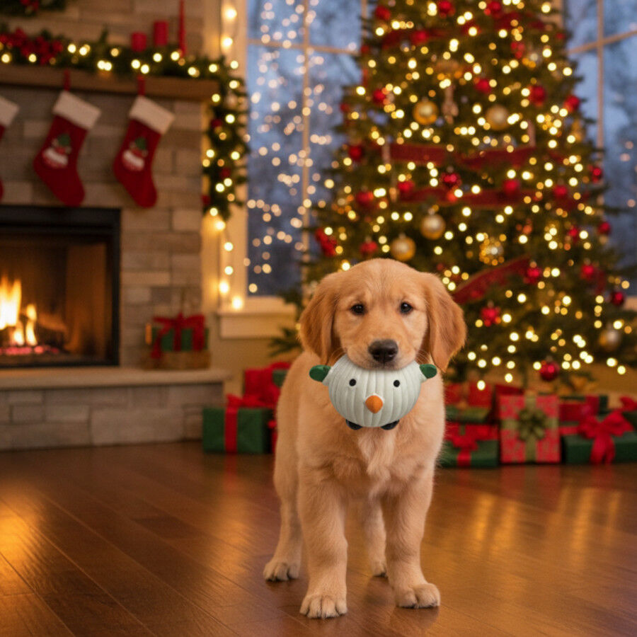 Wonder Christmas Pelota Navideña para perros thumbnail