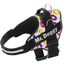 Arnés personalizado Super Doggy estampado de Donuts para perros, , large indicador imagen numero 1