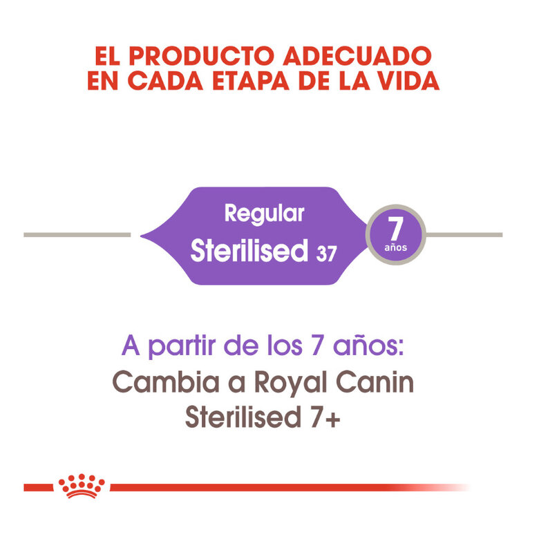 Royal Canin Regular Sterilised 37 pienso para gatos, , large image number null