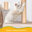 Nobleza - Árbol para Gatos, Árbol Escalador, Árbol Rascador, Dos Bolas de Juego Altura 60cm, Color Beix, , large indicador imagen numero 3